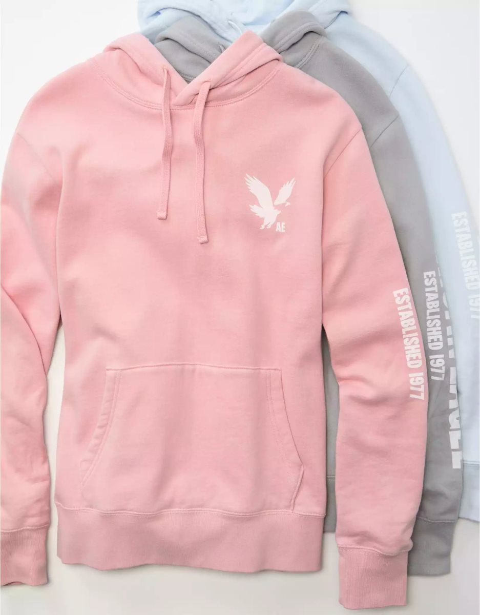 Sweat à Capuche American Eagle AE Super Soft Icon Graphique Rose Homme | YWS-31942997